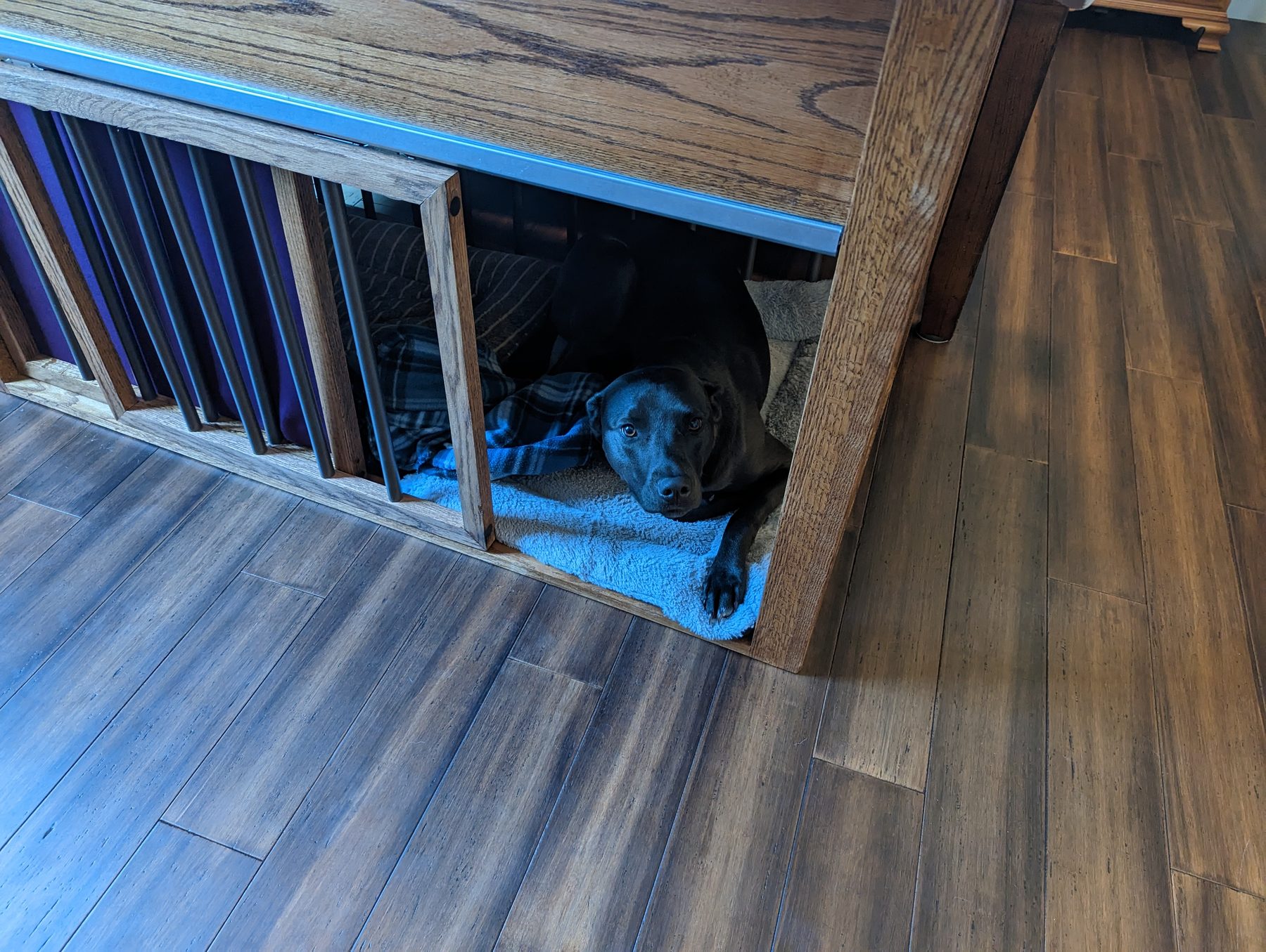 Under-stair dog bed